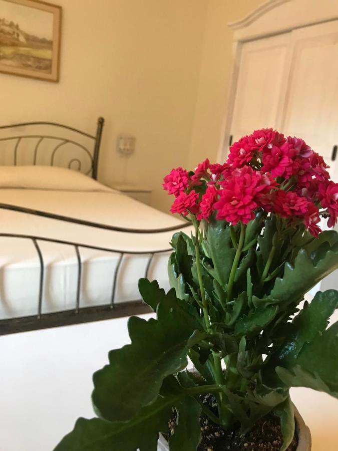 Domo Antiga Guest Rooms Сорсо Екстер'єр фото