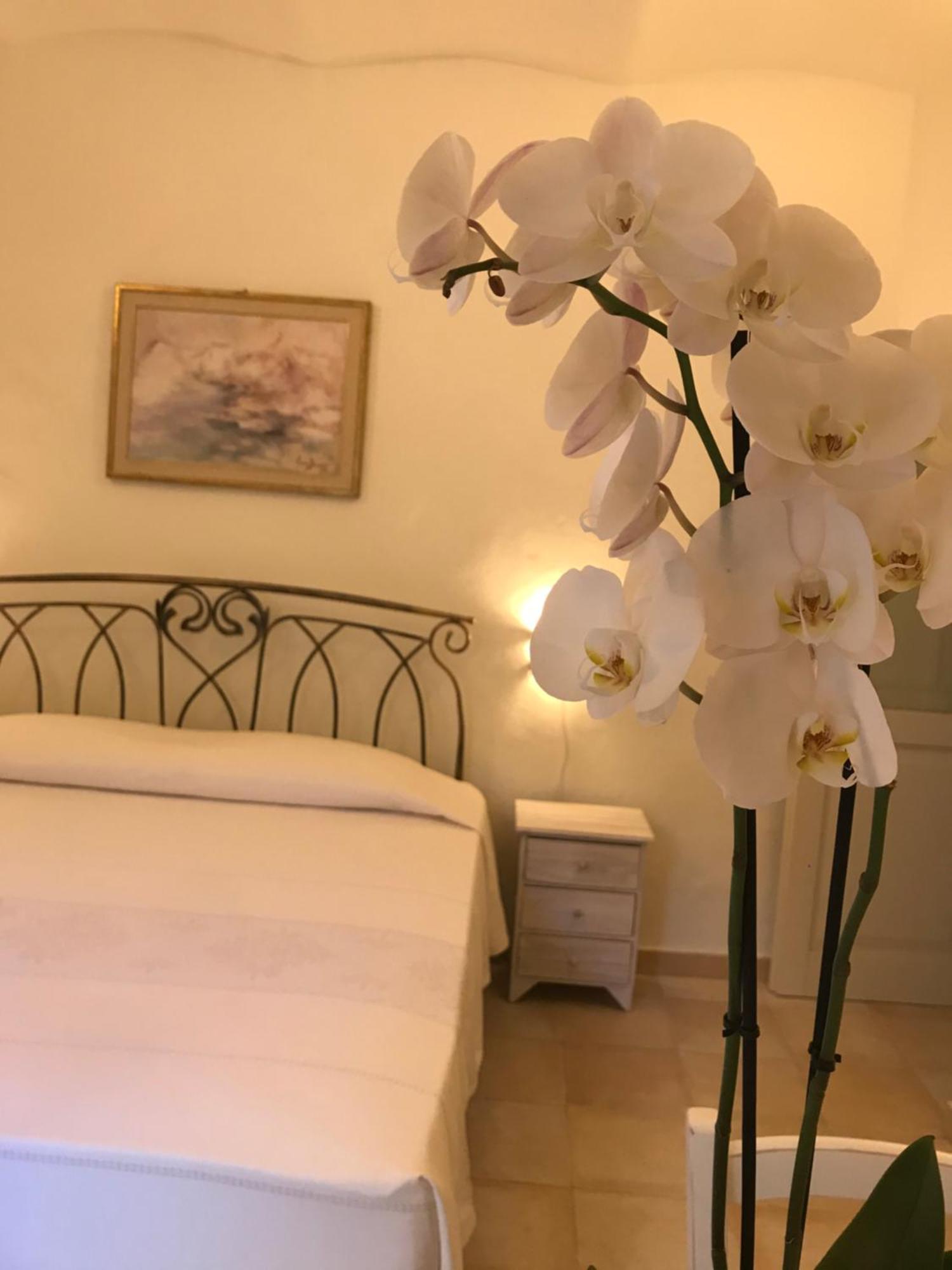 Domo Antiga Guest Rooms Сорсо Екстер'єр фото